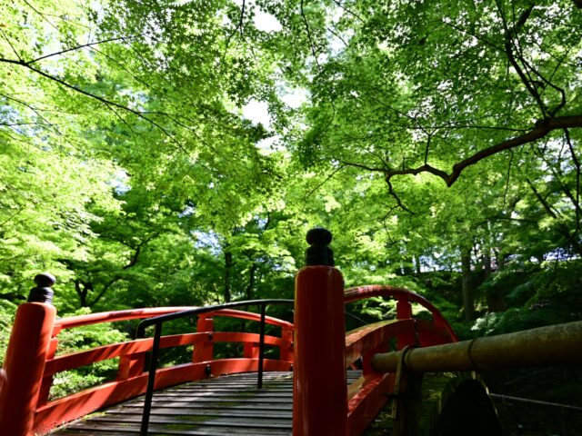 ユウベルおすすめ　京都バスツアー